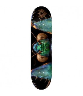 POWELL PERALTA DECK FLIGHT BISS BARK MANTIS 8.75 X 32.95